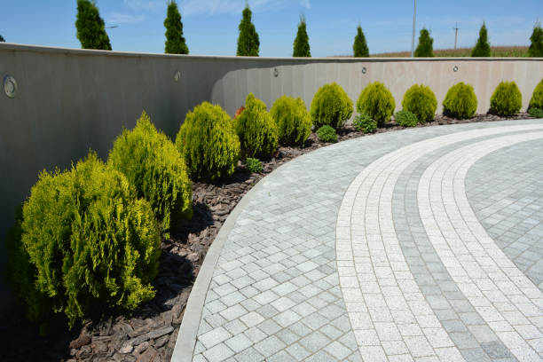 Driveway Repair Near Me in Elberton, GA